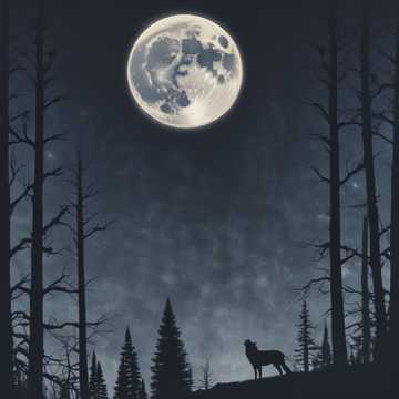 Lonely Wolf