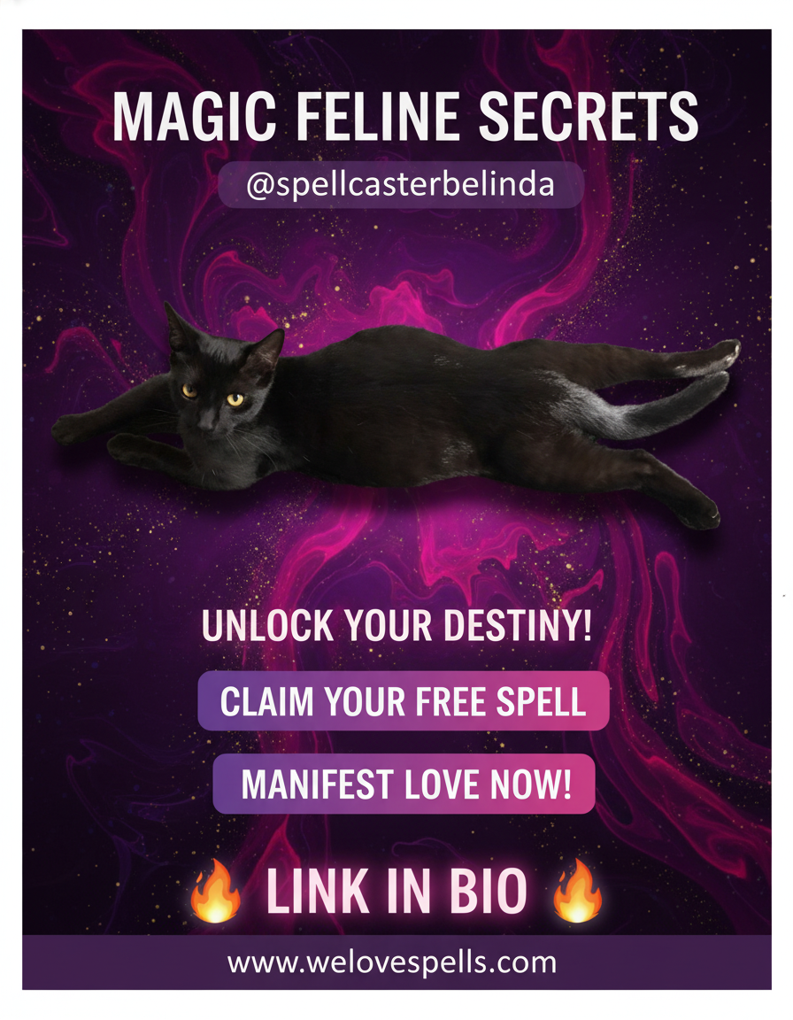 Little Luna, our magical black cat, resting peacefully as she prepares for her kittens.