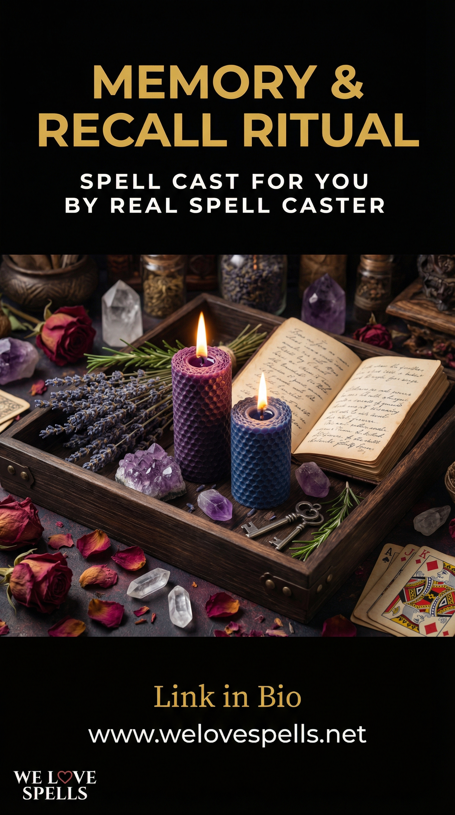 Boost Your Mind & Recall Power