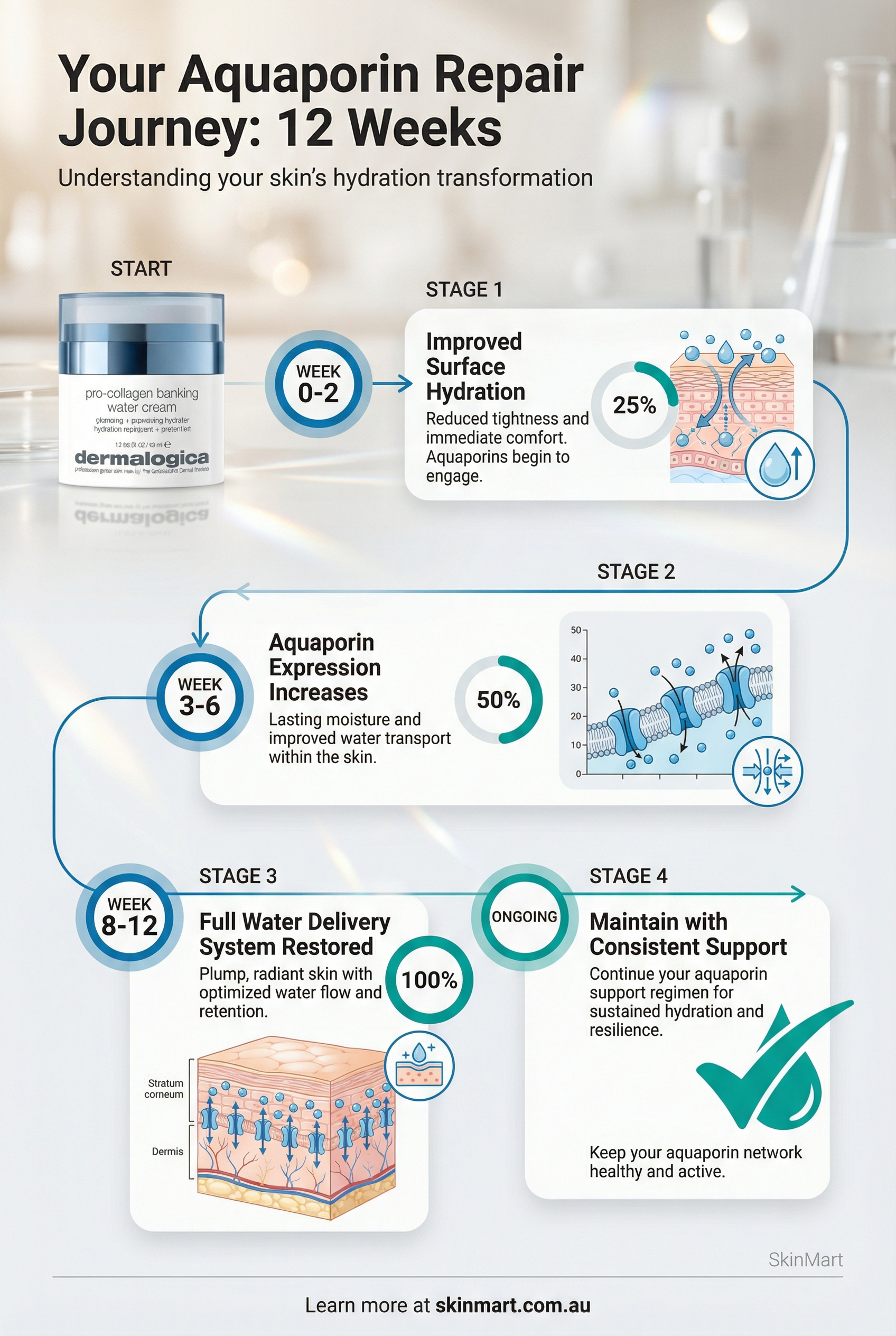 Timeline infographic showing aquaporin repair progression from week 0 to week 12 with improvement milestones