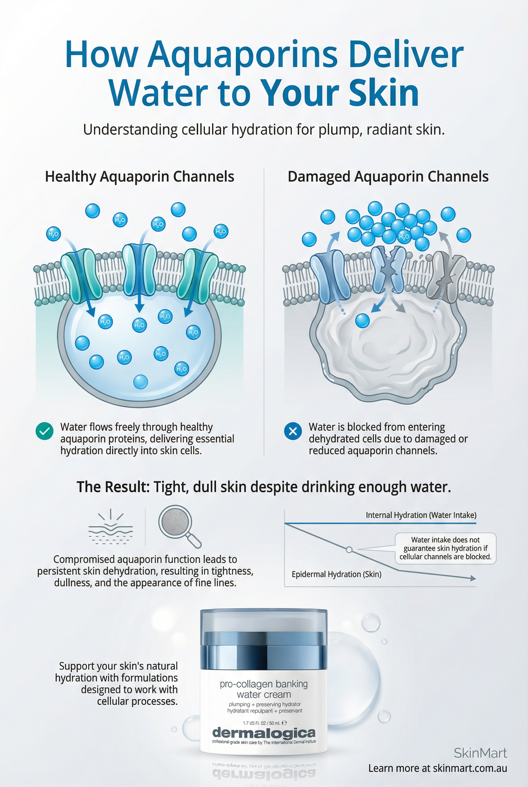 Medical illustration comparing healthy aquaporin channels allowing water transport versus damaged channels blocking water delivery in skin cells