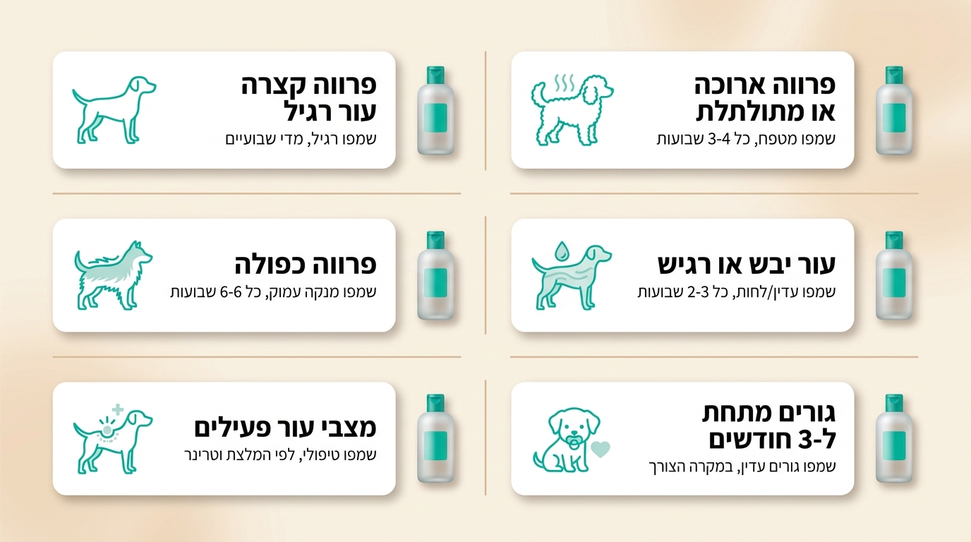 מוצרי שמפו לטיפוח כלב
